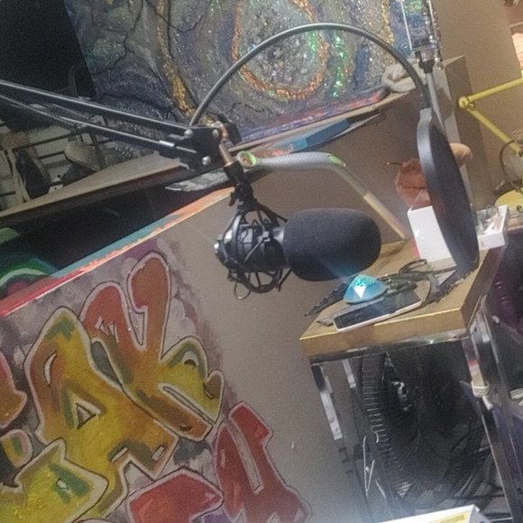 Studio mic and pop screen - Picture 1 of 1